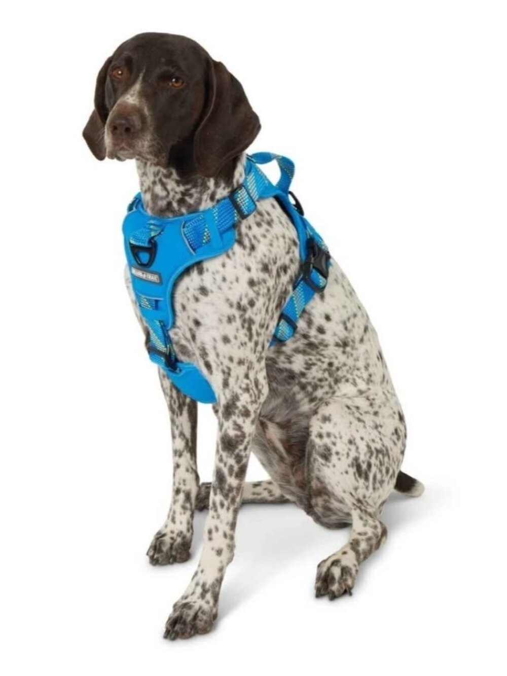ARCADIA TRAIL NEOPRENE DOG HARNESS SIZE XXL NWT